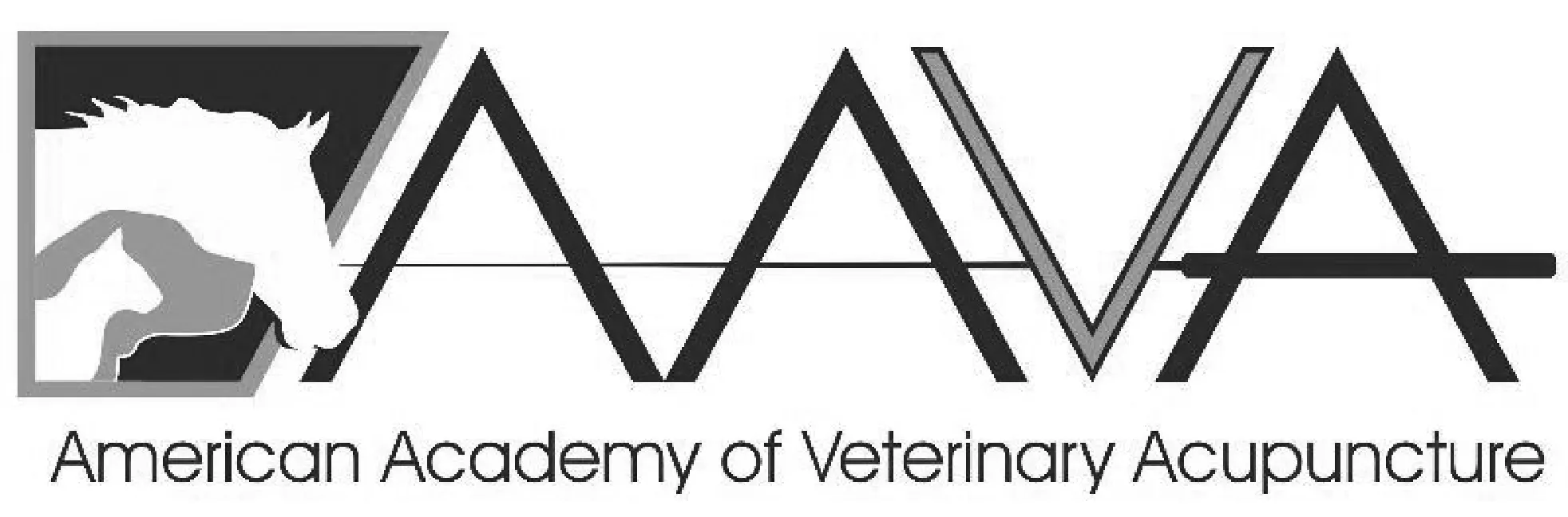 AAVA